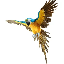 DecoWoerner Decoración De Animales|Decoración De Verano><noscript><img width=