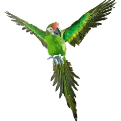 DecoWoerner Decoración De Animales|Decoración De Verano>Papagayo Decorativo Longitud 77 Cm