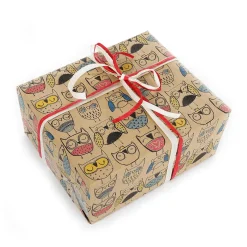 DecoWoerner Papel De Regalo|Go Green - Envoltorio Para Regalo Ecológico>Papel Kraft Reciclado Con Búhos De Colores - Rollo De Papel De Regalo De 50 M.