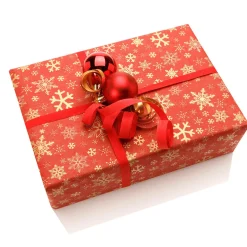 DecoWoerner Papel De Regalo|Go Green - Envoltorio Para Regalo Ecológico><noscript><img width=
