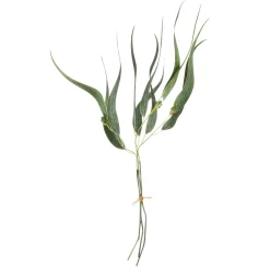 DecoWoerner Ramas Y Ramitas>Paquete De 3 Eucaliptos Artificiales, , 60 Cm De Altura