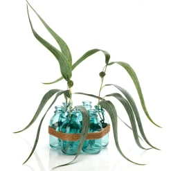 DecoWoerner Ramas Y Ramitas>Paquete De 3 Eucaliptos Artificiales, , 60 Cm De Altura