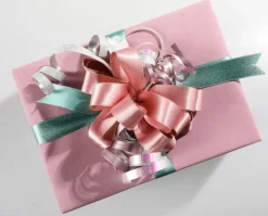 DecoWoerner Cintas De Regalo>Paquete De Ahorro "Cintas De Regalo En Color Pastel