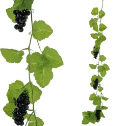 DecoWoerner Decoración De Otoño|Guirnaldas Y Vides>Parra De Hoja De Parra Con Uvas 180 Cm