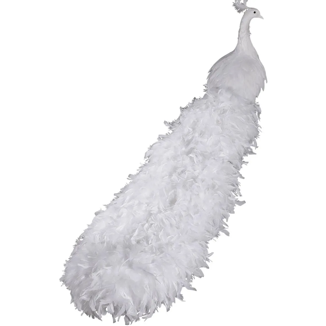 DecoWoerner Decoración De Animales|Decoración Temática>Pavo Real Decorativo, Longitud: 150 Cm
