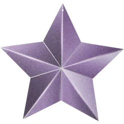 DecoWoerner Decoración De Invierno>Percha Estrella Púrpura Con Purpurina
