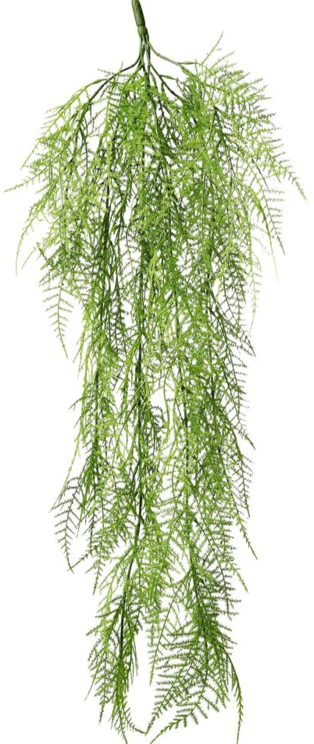 DecoWoerner Plantas Verdes|Plantas Colgantes>Percha Velo Espárrago Ornamental 80 Cm