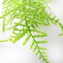 DecoWoerner Plantas Verdes|Plantas Colgantes>Percha Velo Espárrago Ornamental 80 Cm