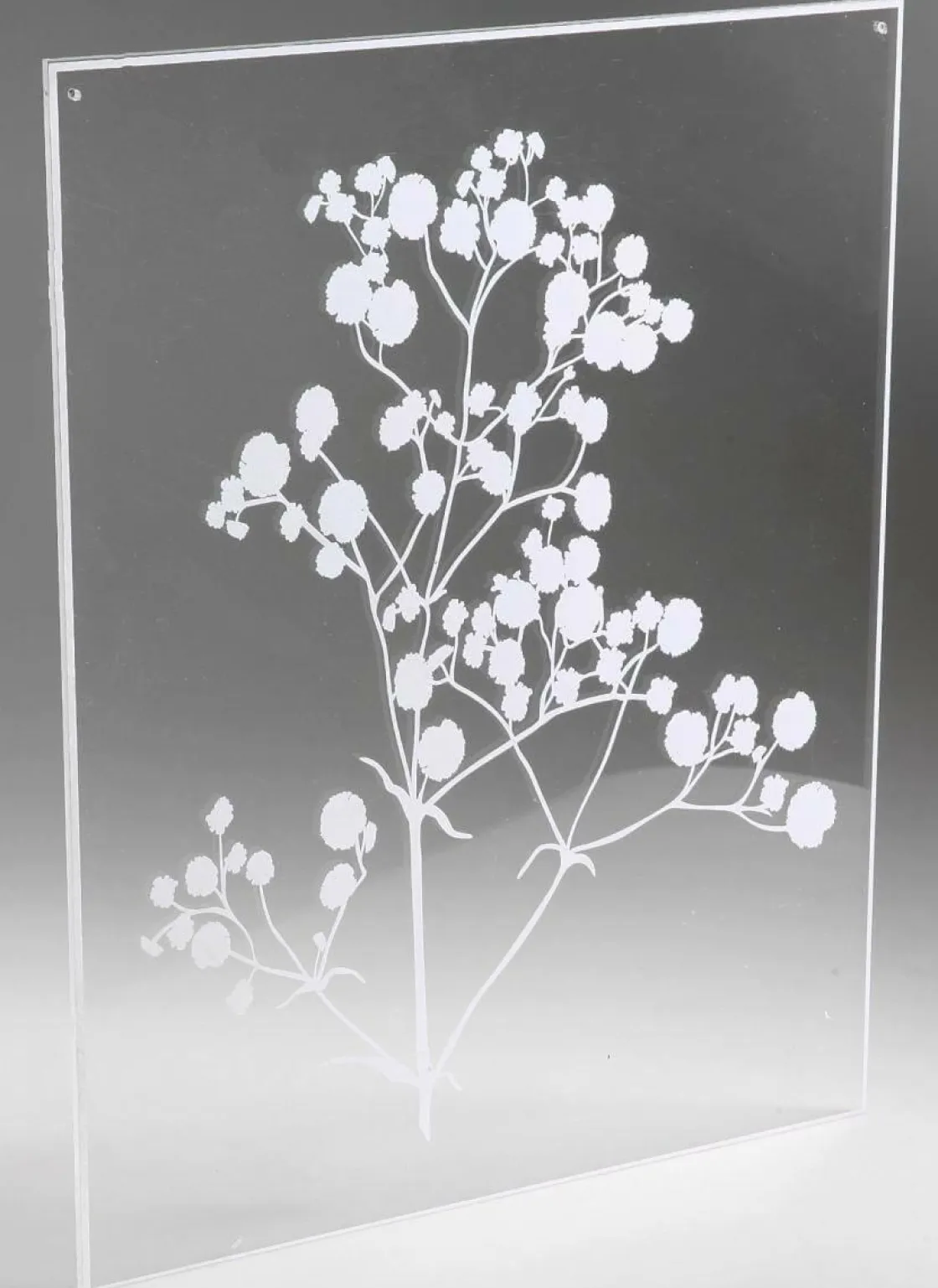 DecoWoerner Decoración De Verano|Decoración De Primavera>Pintura Acrílica "Gypsophila" 35 X 45 Cm