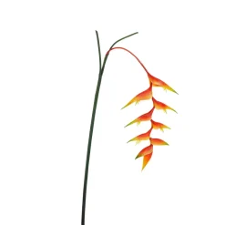DecoWoerner Decoración De Verano|Flores Artificiales>Pinzas De Langosta De Heliconia Artificial 30 X 96 Cm