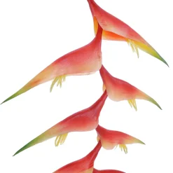 DecoWoerner Decoración De Verano|Flores Artificiales>Pinzas De Langosta De Heliconia Artificial 30 X 96 Cm