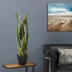 DecoWoerner Plantas De Interior>Planta Artificial Arco De Cáñamo 85 Cm