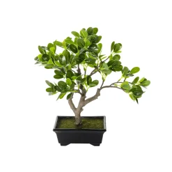 DecoWoerner Plantas De Interior>Planta Artificial Bonsái Hoja De Centavo En Maceta 28 X 11 X 34 Cm (ancho X Largo X Alto)