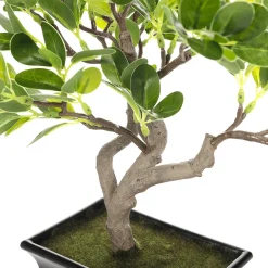 DecoWoerner Plantas De Interior>Planta Artificial Bonsái Hoja De Centavo En Maceta 28 X 11 X 34 Cm (ancho X Largo X Alto)