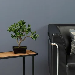 DecoWoerner Plantas De Interior><noscript><img width=