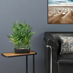DecoWoerner Plantas De Interior><noscript><img width=