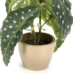 DecoWoerner Plantas De Interior>Planta Artificial Deco Begonia Trucha 30 Cm