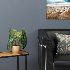 DecoWoerner Plantas De Interior><noscript><img width=