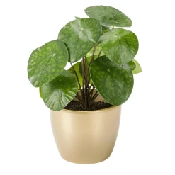 DecoWoerner Plantas De Interior>Planta Artificial Deco Pilea En Maceta, Pancake 25 Cm