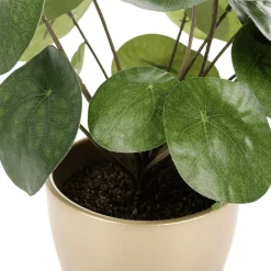 DecoWoerner Plantas De Interior>Planta Artificial Deco Pilea En Maceta, Pancake 25 Cm