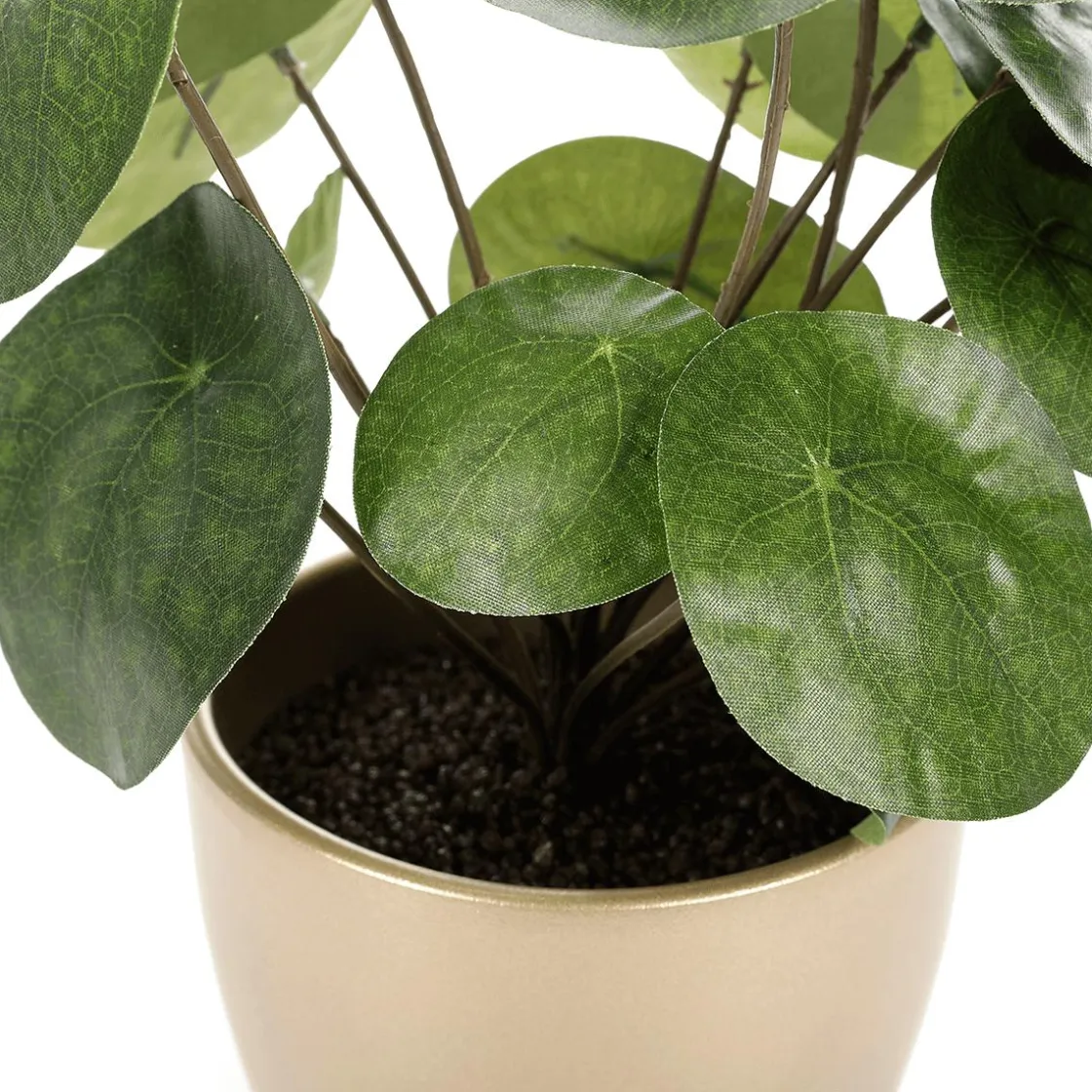 DecoWoerner Plantas De Interior>Planta Artificial Deco Pilea En Maceta, Pancake 25 Cm