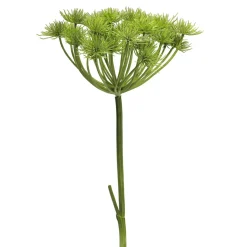 DecoWoerner Flores Artificiales>Planta Artificial Heracleum Giant Hogweed 98 Cm