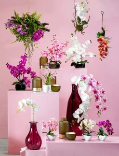 DecoWoerner Plantas De Interior|Flores Artificiales><noscript><img width=