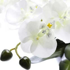DecoWoerner Plantas De Interior|Flores Artificiales>Planta Artificial Orquídea , 40 Cm