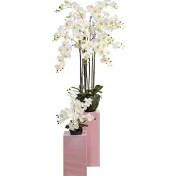 DecoWoerner Plantas De Interior|Flores Artificiales><noscript><img width=