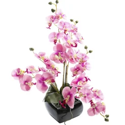 DecoWoerner Plantas De Interior|Flores Artificiales>Planta Artificial Orquídea , 40 Cm
