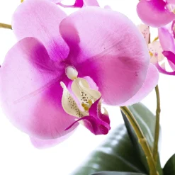 DecoWoerner Plantas De Interior|Flores Artificiales>Planta Artificial Orquídea , 40 Cm