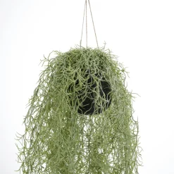 DecoWoerner Plantas Colgantes>Planta Colgante Bola De Musgo Artificial 70 Cm