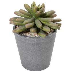 DecoWoerner Plantas De Interior>Plantas Suculentas Artificiales 20 Cm