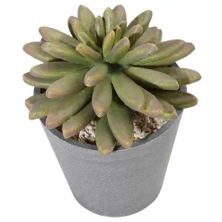 DecoWoerner Plantas De Interior>Plantas Suculentas Artificiales 20 Cm