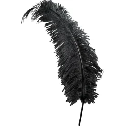 DecoWoerner Decoración Temática>Pluma De Avestruz, Color