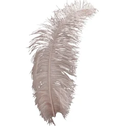 DecoWoerner Decoración Temática>Pluma De Avestruz Sombreada