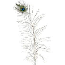 DecoWoerner Decoración Dispersa>Plumas De Pavo Real, 10 Piezas