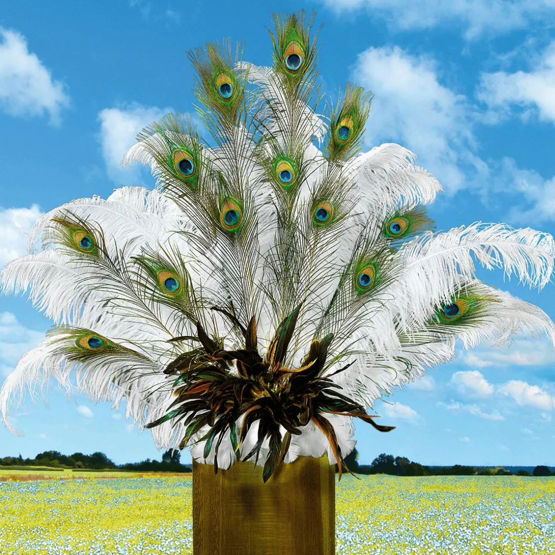 DecoWoerner Decoración Dispersa>Plumas De Pavo Real, 10 Piezas