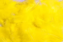 DecoWoerner Decoración Dispersa|Decoración De Pascua>Plumas Decorativas Amarillas, 20 G