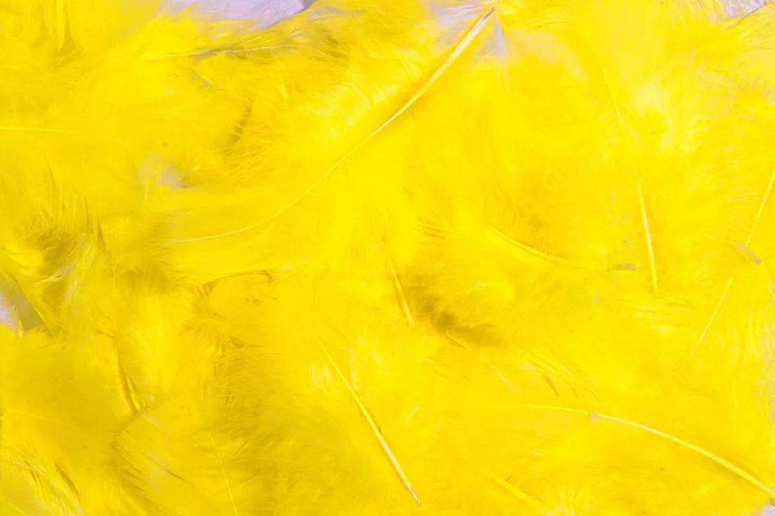 DecoWoerner Decoración Dispersa|Decoración De Pascua>Plumas Decorativas Amarillas, 20 G