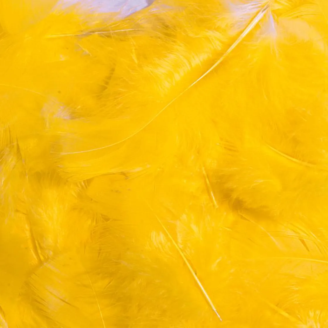 DecoWoerner Decoración Dispersa|Decoración De Pascua>Plumas Decorativas Amarillas, 20 G