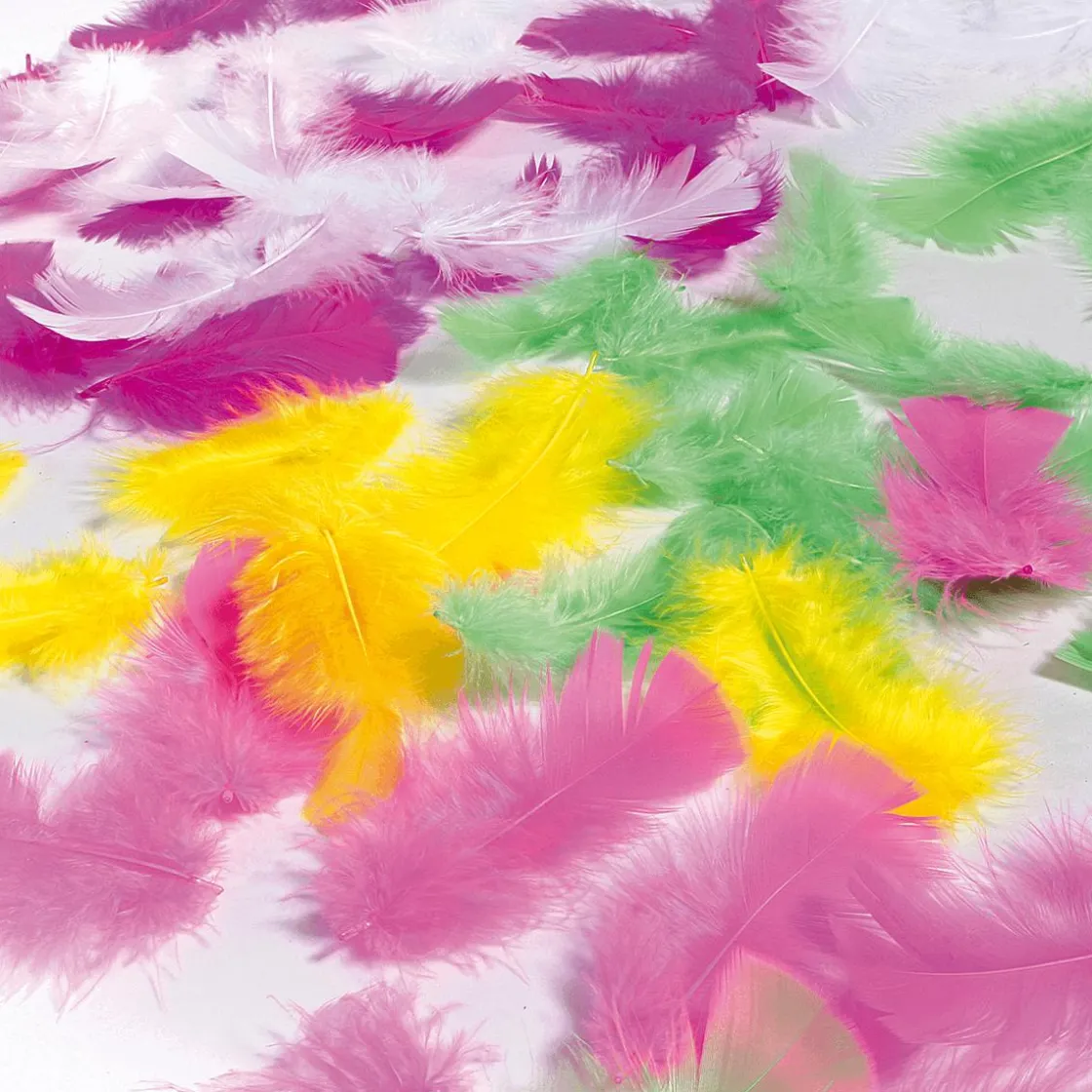 DecoWoerner Decoración Dispersa|Decoración De Pascua>Plumas Decorativas Blancas, 20 G