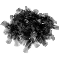 DecoWoerner Decoración Dispersa>Plumas Decorativas Negras, 20 G