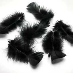 DecoWoerner Decoración Dispersa>Plumas Decorativas Negras, 20 G