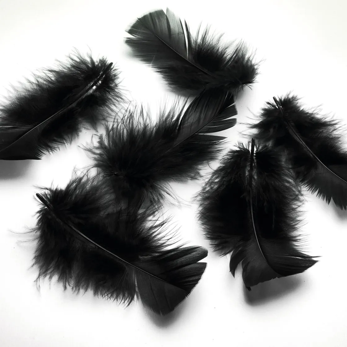 DecoWoerner Decoración Dispersa>Plumas Decorativas Negras, 20 G