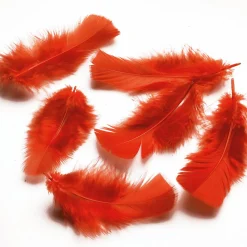 DecoWoerner Decoración Dispersa><noscript><img width=