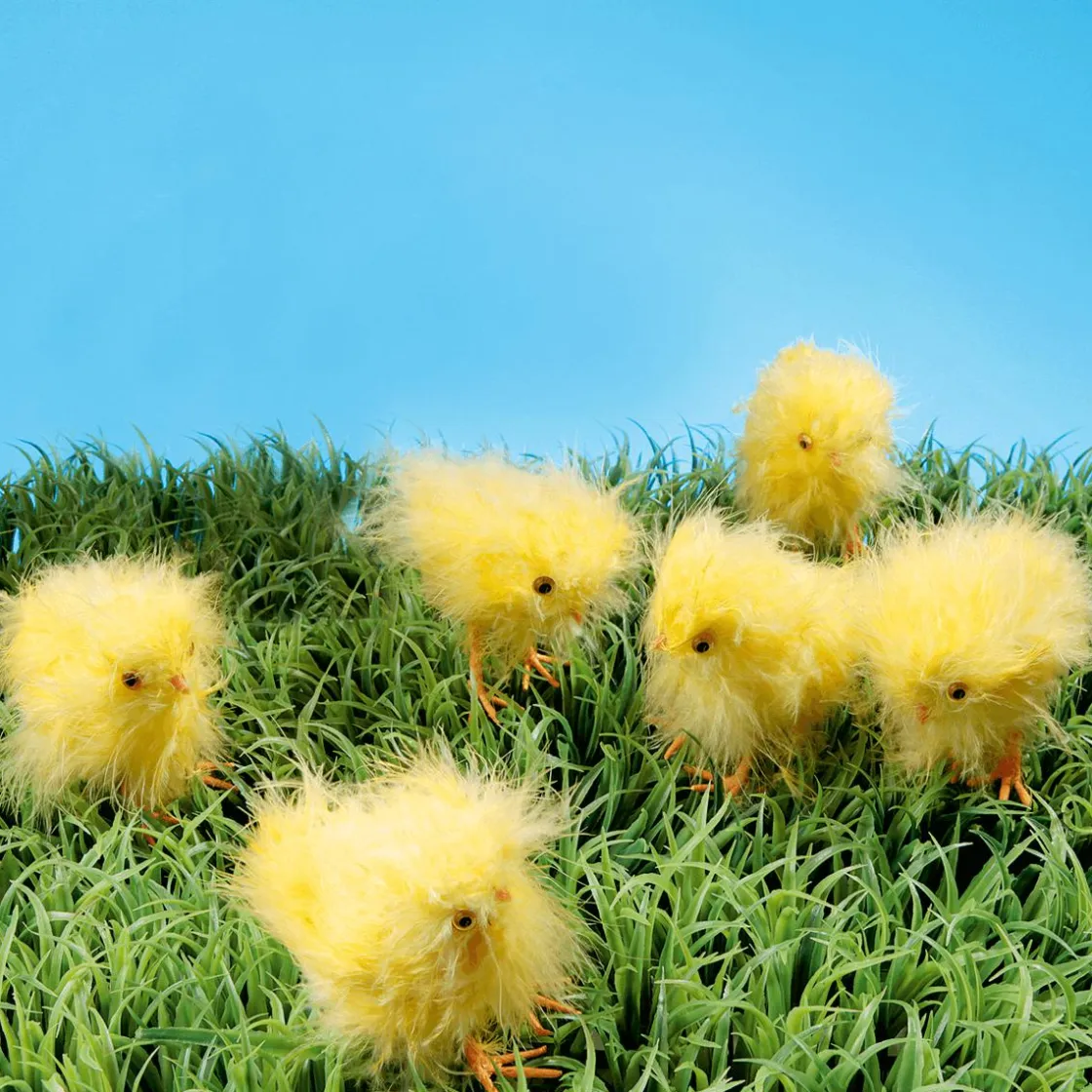 DecoWoerner Decoración De Animales|Decoración De Pascua>Pollitos Decorativos, 9 Cm, 6 Piezas