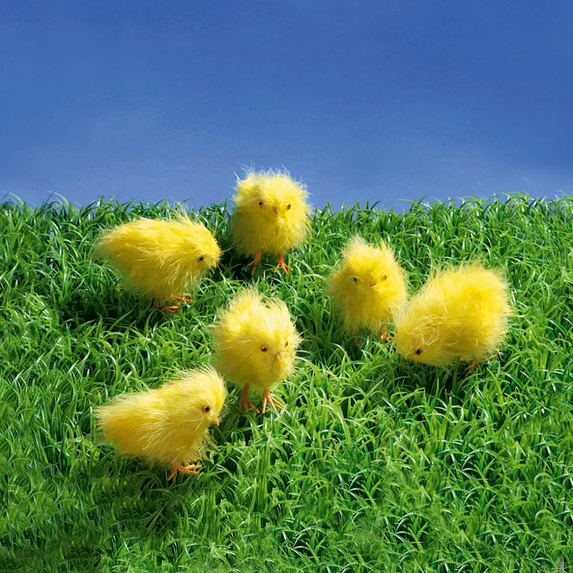 DecoWoerner Decoración De Animales|Decoración De Pascua>Pollitos Decorativos, 9 Cm, 6 Piezas