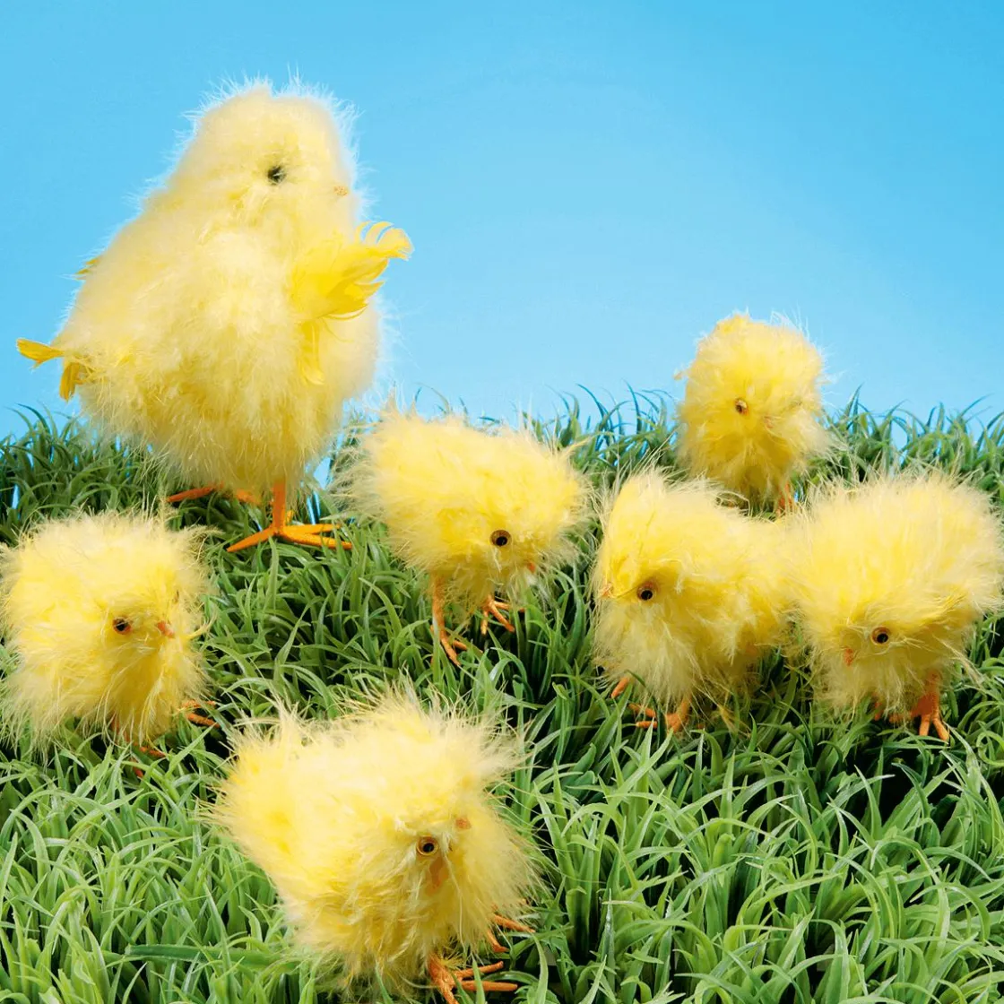 DecoWoerner Decoración De Animales|Decoración De Pascua>Pollitos Decorativos, 9 Cm, 6 Piezas