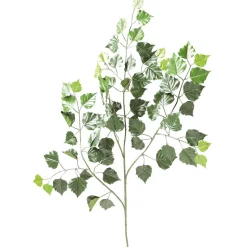 DecoWoerner Decoración De Primavera|Ramas Y Ramitas>Rama Artificial De Abedul 70 Cm, B1